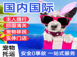 杭州萧山航空托运国际宠物托运 【国